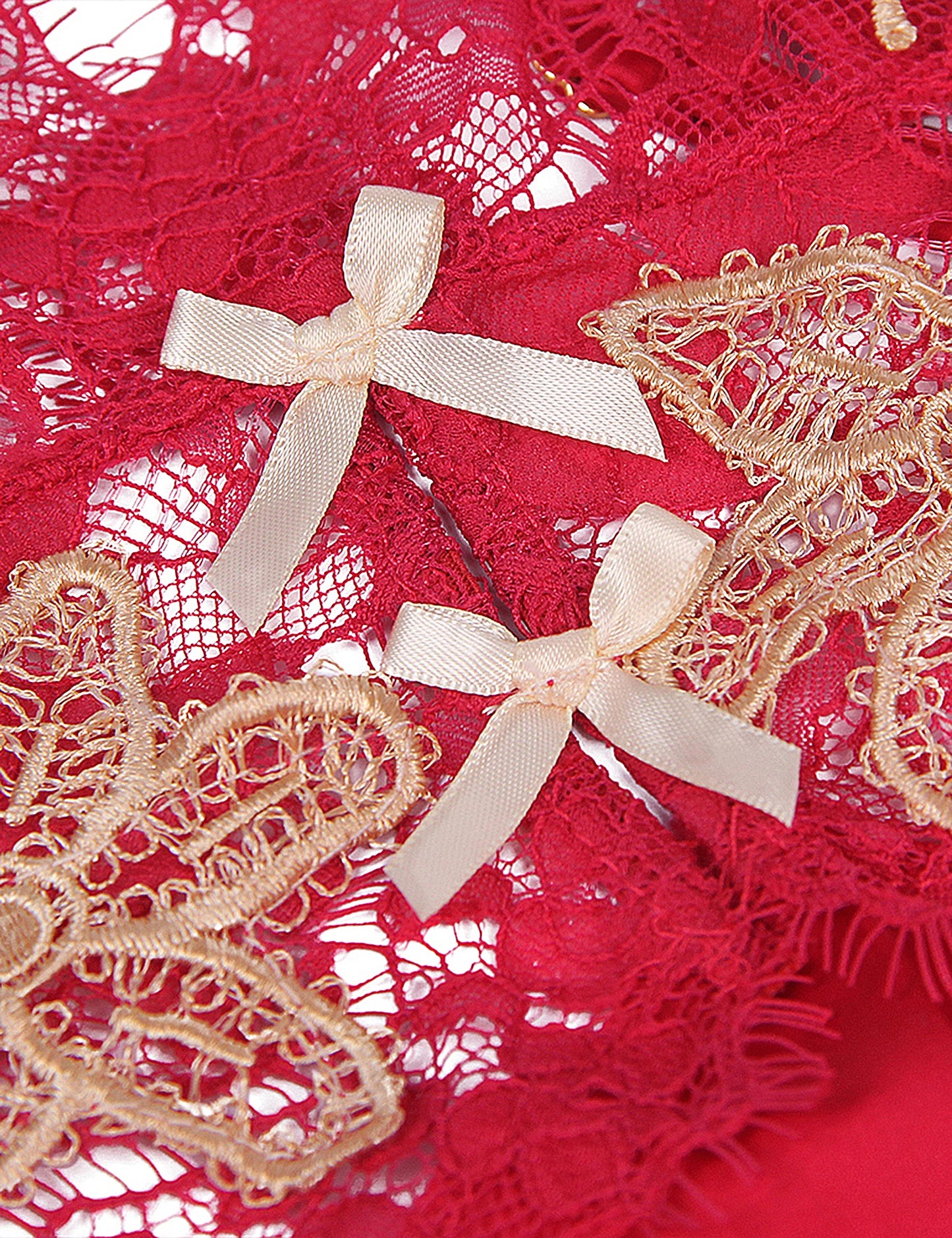 Elegant Women's Red Floral Baby Doll Lingerie with Embroidery and Matching Panties